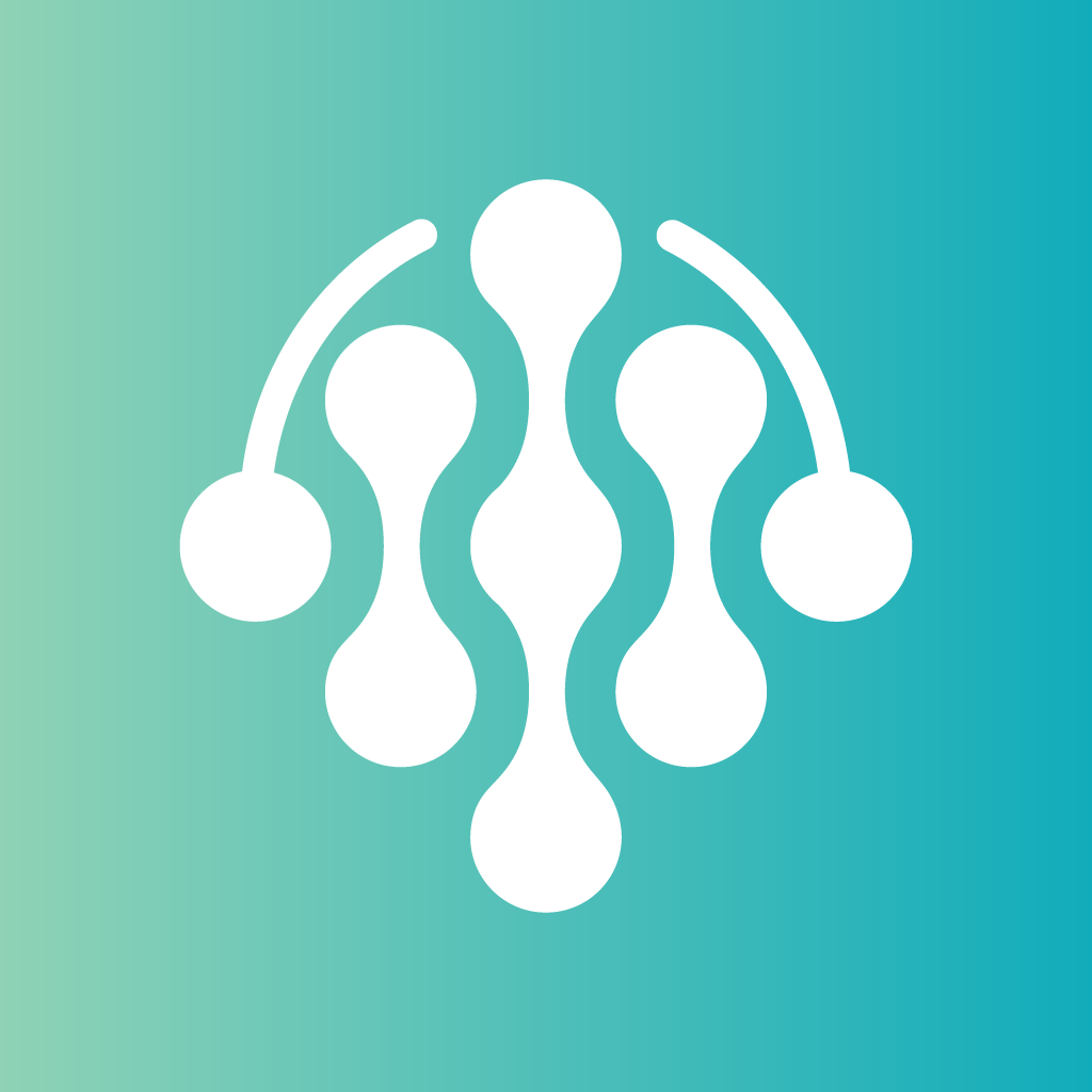 NewBrain.app icon